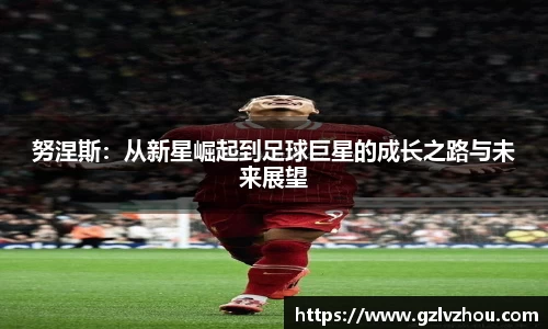 努涅斯：从新星崛起到足球巨星的成长之路与未来展望